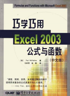 巧学巧用Excel 2003公式与函数 中文版