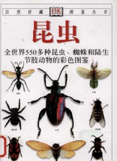 自然珍藏图鉴丛书 昆虫：全世界550多种昆虫、蜘蛛和陆生节肢动物的彩色图鉴