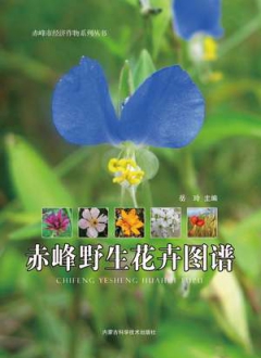赤峰野生花卉图谱